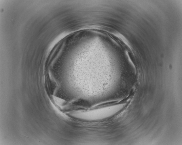 X0000066001143200603172159