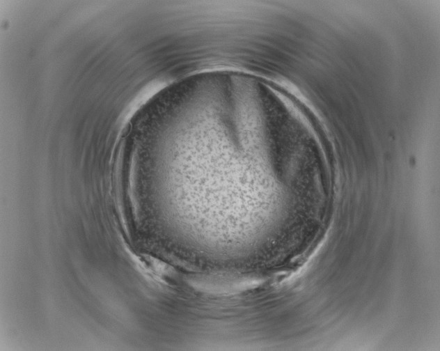 X0000066001145200603172159