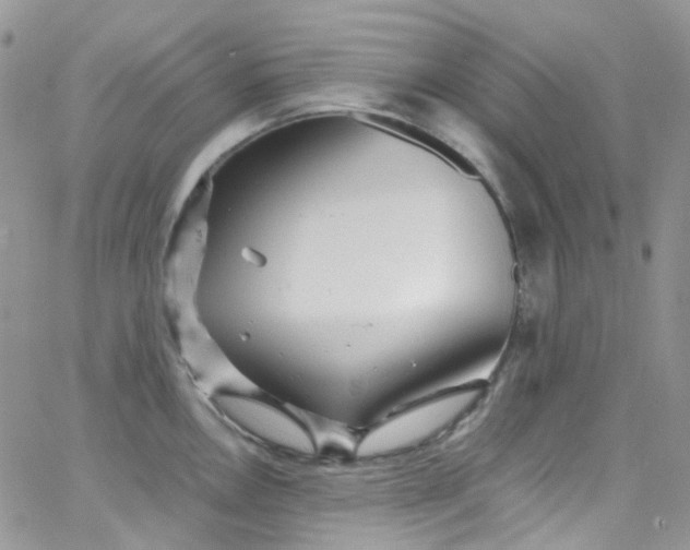 X0000066001146200603172159