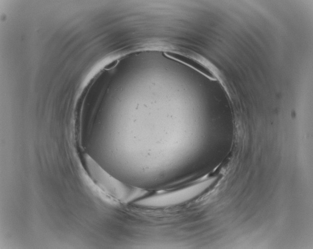 X0000066001147200603172159