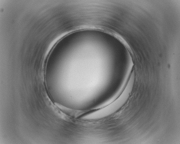 X0000066001148200603172159