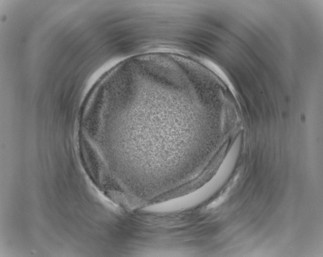 X0000066001149200603172159