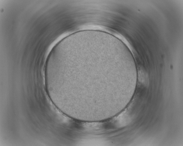 X0000066001150200603172159