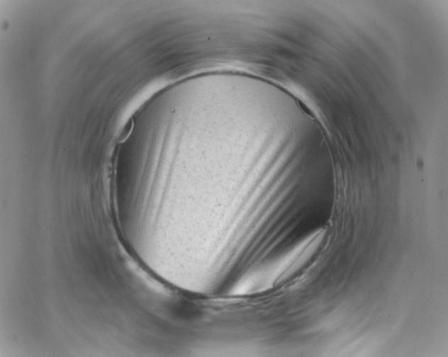 X0000066001151200603172159