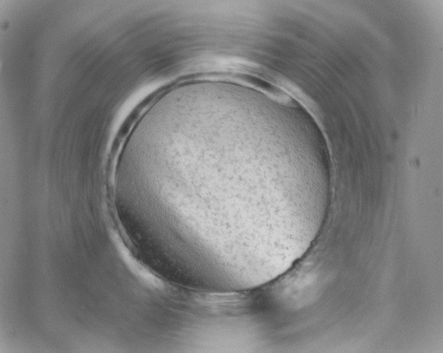 X0000066001152200603172159