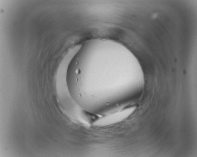 X0000066001153200603172158