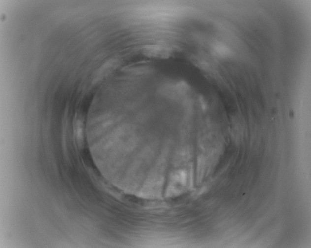 X0000066001154200603172158