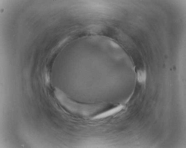 X0000066001155200603172158