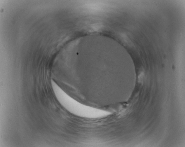 X0000066001156200603172158