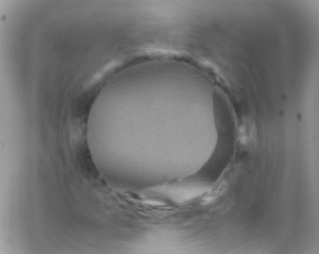 X0000066001157200603172158