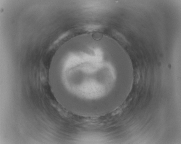 X0000066001158200603172158