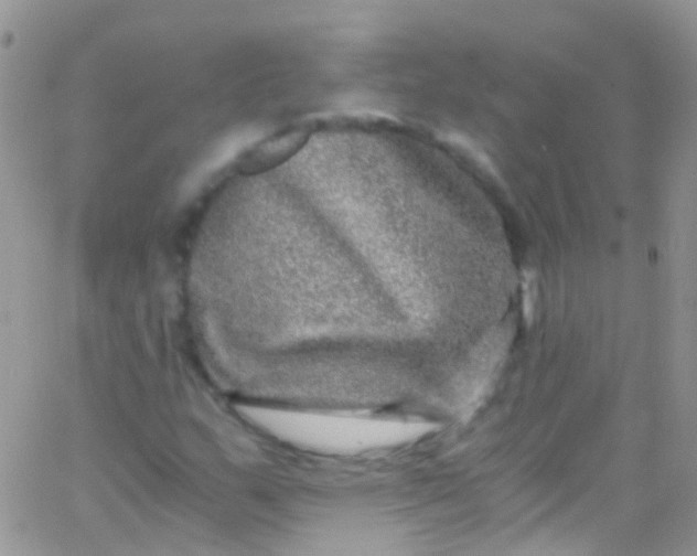 X0000066001159200603172158