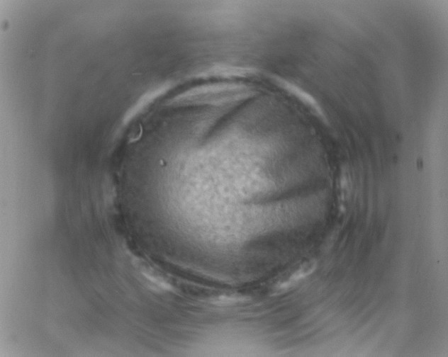 X0000066001160200603172158