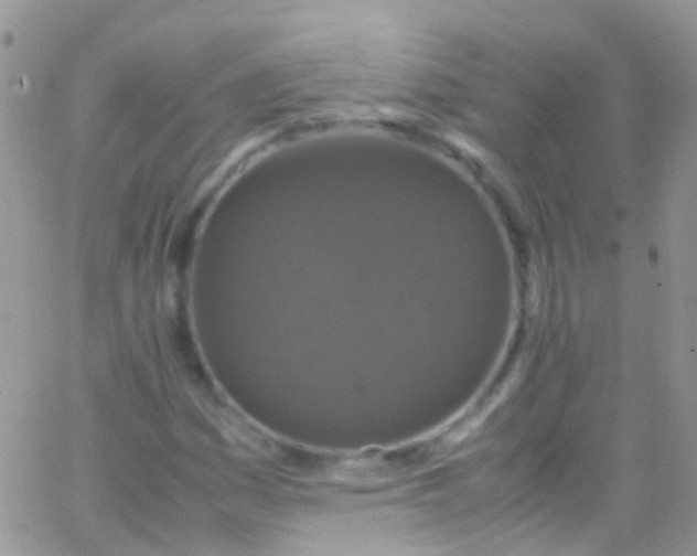 X0000066001161200603172158