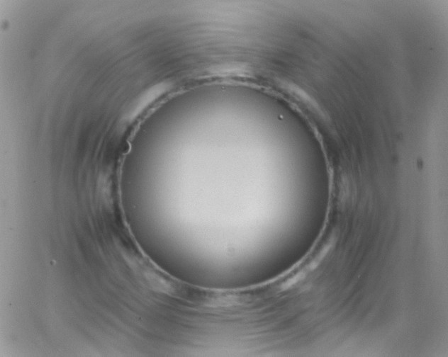 X0000066001162200603172158