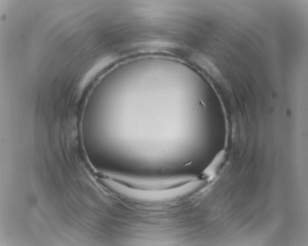 X0000066001164200603172158