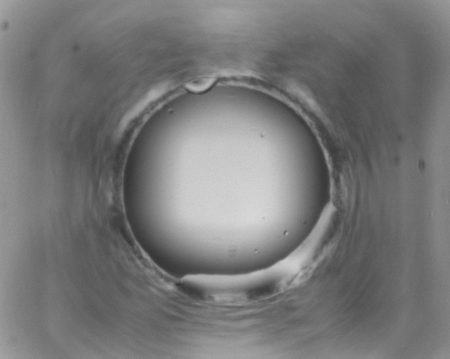 X0000066001165200603172158