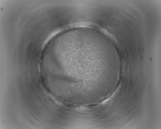 X0000066001166200603172158