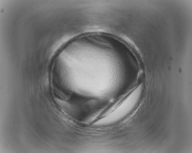 X0000066001167200603172158