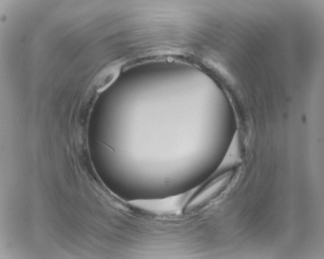 X0000066001169200603172158