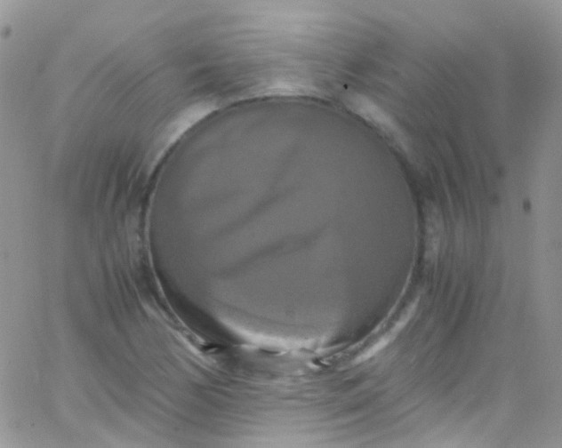 X0000066001170200603172158