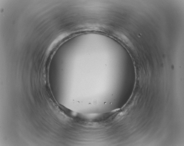 X0000066001172200603172158