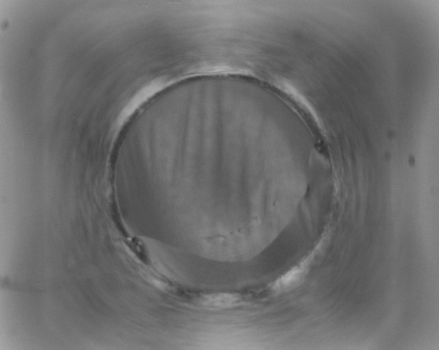 X0000066001173200603172158