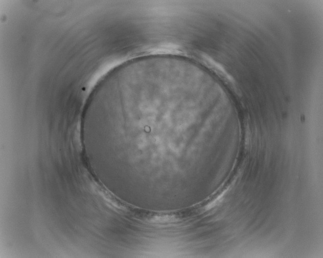 X0000066001174200603172158