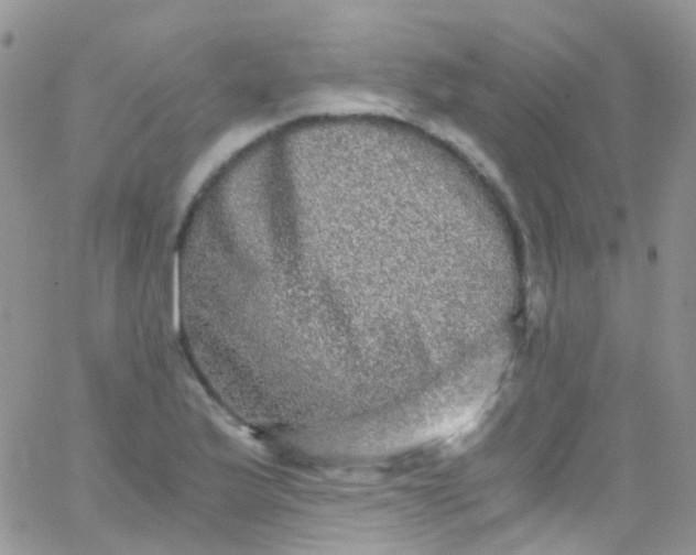 X0000066001175200603172158