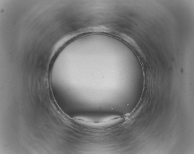 X0000066001176200603172158