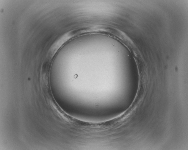 X0000066001177200603172158