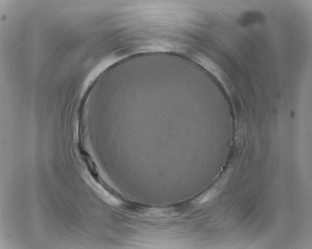 X0000066001179200603172158