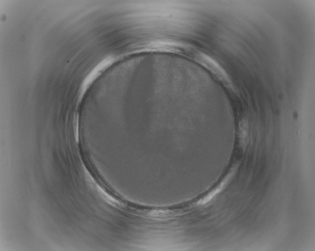 X0000066001180200603172158