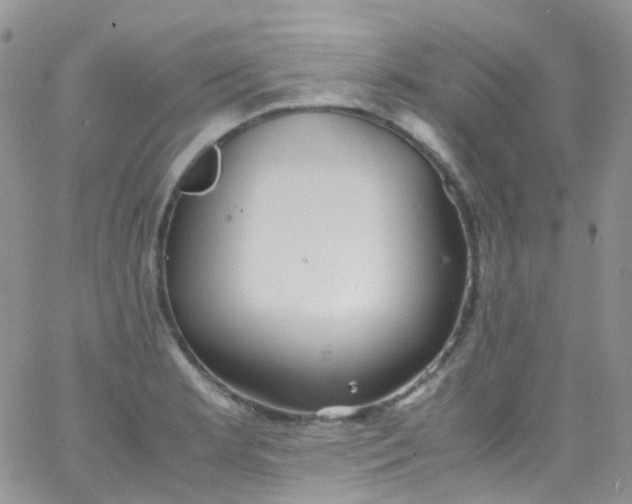 X0000066001181200603172158