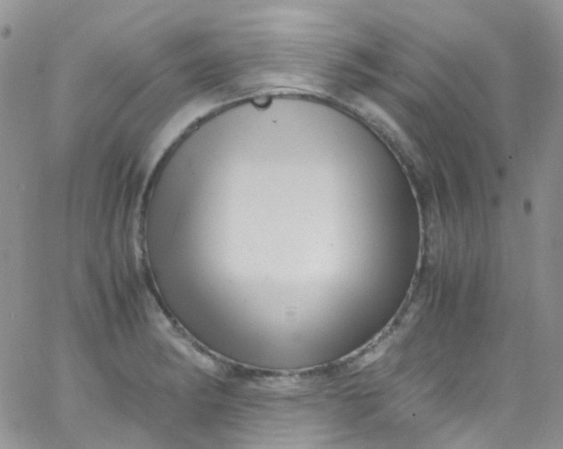 X0000066001182200603172158