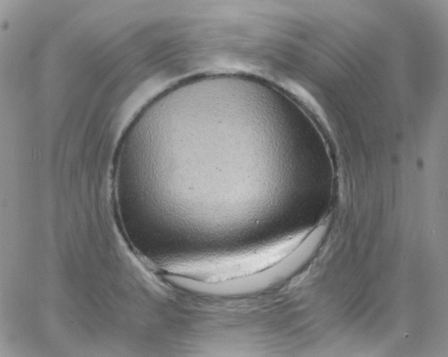 X0000066001183200603172158