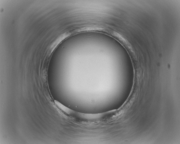 X0000066001185200603172158