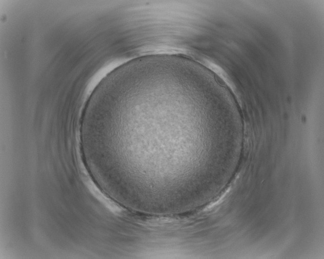 X0000066001187200603172158