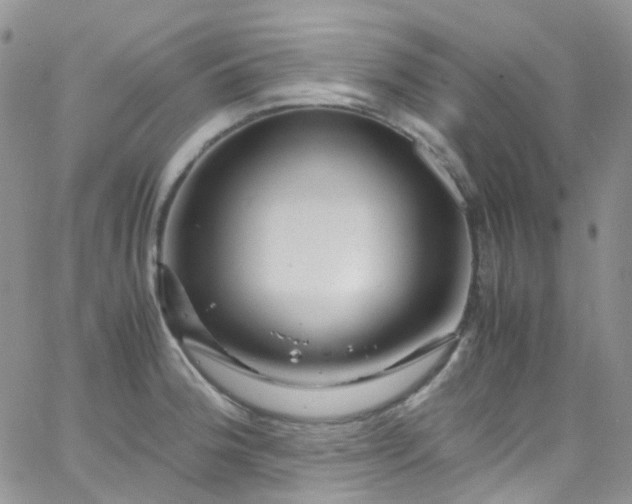 X0000066001188200603172158