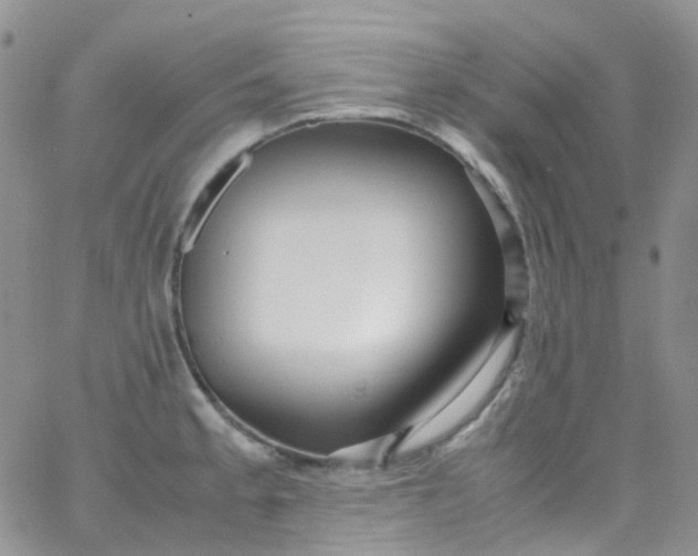 X0000066001189200603172157