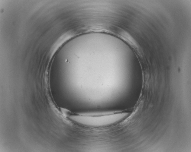 X0000066001190200603172157