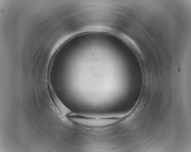 X0000066001192200603172157