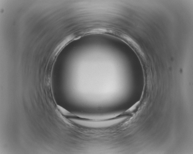 X0000066001193200603172157