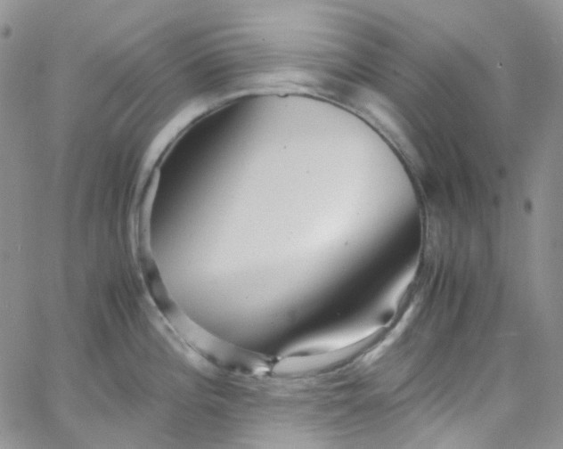 X0000066001196200603172157