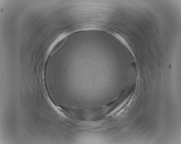 X0000066001197200603172157