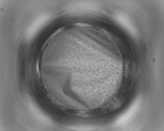 X0000066001198200603172157