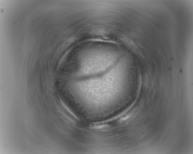 X0000066001201200603172157