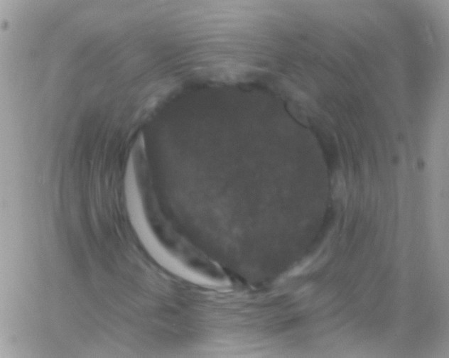 X0000066001202200603172157