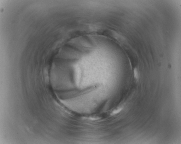 X0000066001203200603172157