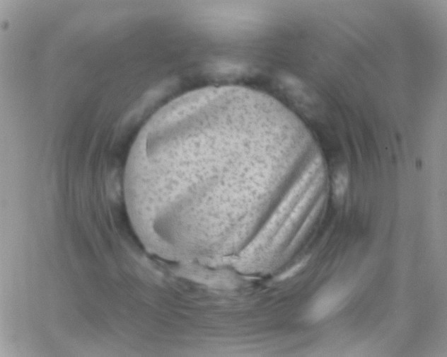 X0000066001204200603172157